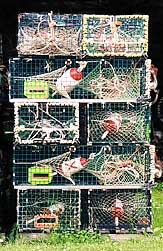 lobster traps